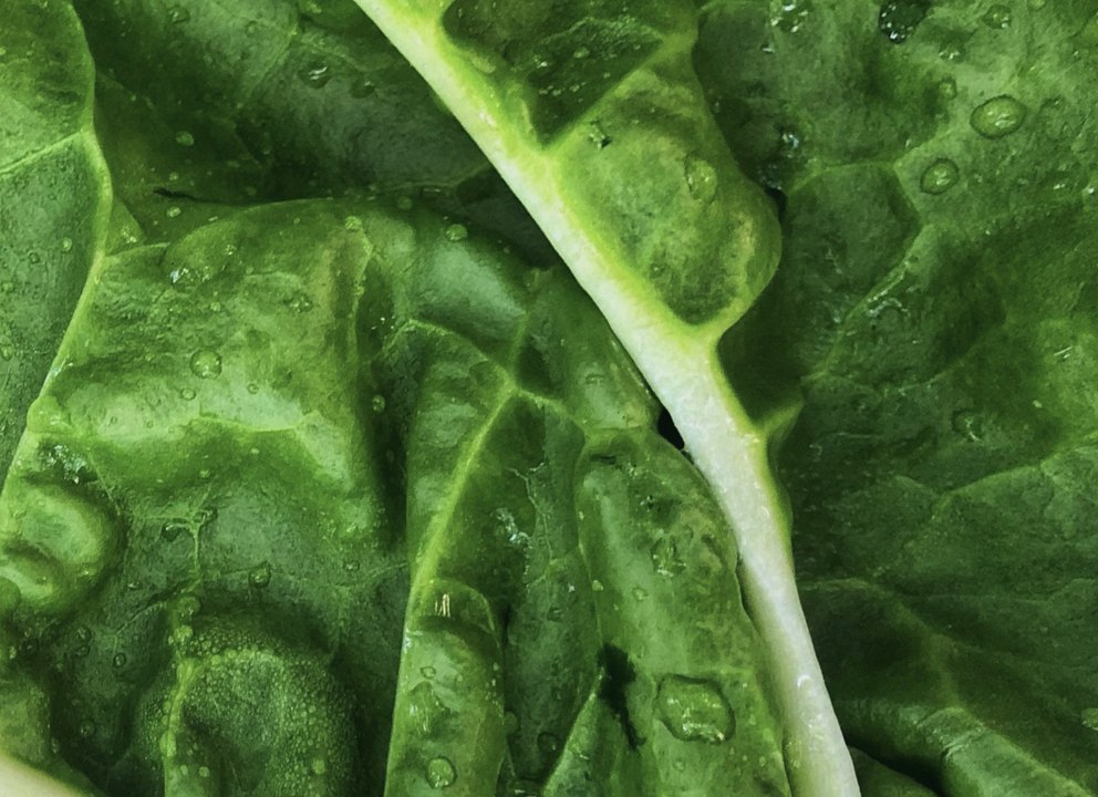 Un plat de ces aliments par jour peut réduire le risque de maladie cardiaque