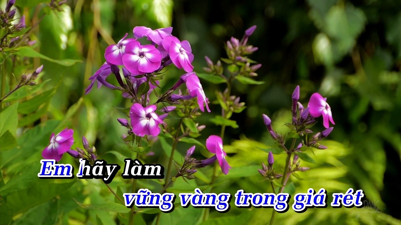 Gui Nang Cho Em - ACM