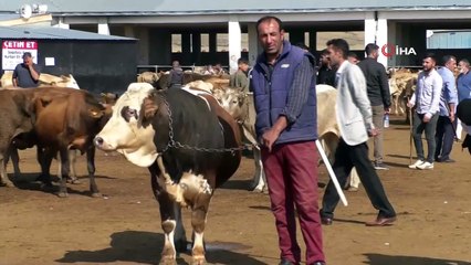 Kars’ta kurbanlık çok alan yok