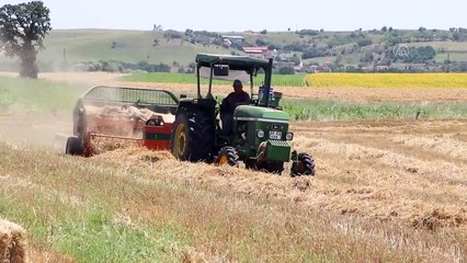 EDİRNE - Biçerdöverin çıktığı buğday tarlasına 'balyacılar' giriyor