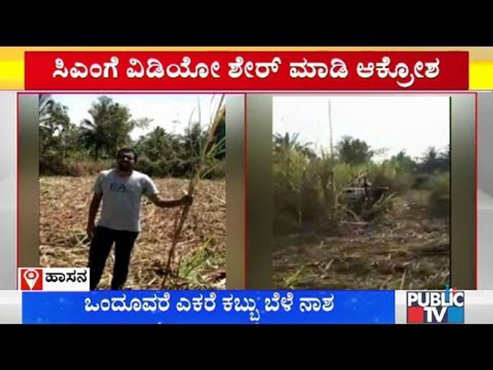 ಕಾರ್ಖಾನೆಗೆ ಕಬ್ಬು ಸಾಗಿಸಲಾಗದೇ ಬೆಳೆ ನಾಶ ಮಾಡಿದ ರೈತ | Hassan | Farmer