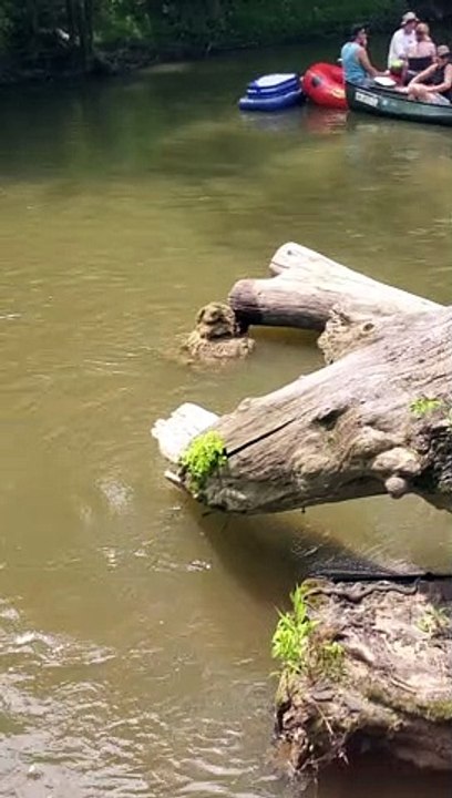 Canoe Trip With a Scary Highlight