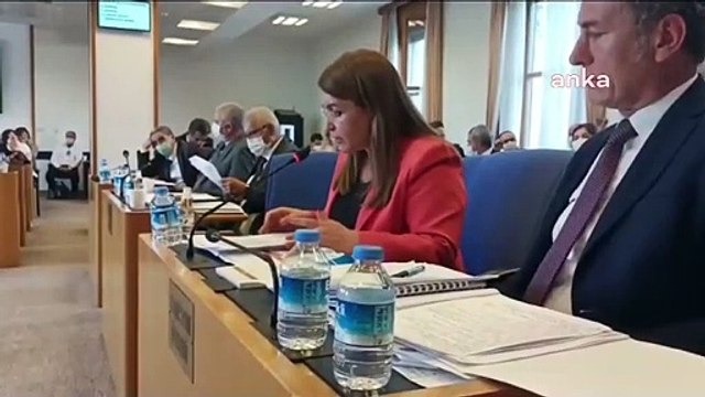 TBMM Komisyonu'nda “hayvanlarla cinsel ilişki ibaresine tepki: “Ne demek cinsel ilişki, hayvanların rızası mı var?