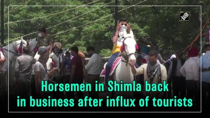 Horsemen in Shimla back in business after influx of tourists