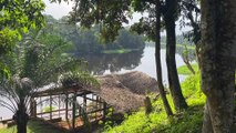 YAOUNDE - Kamerun’da Nyong nehri eşsiz manzarasıyla büyülüyor