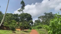 Kamerun'da Nyong nehri eşsiz manzarasıyla büyülüyor