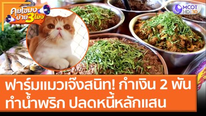 ฟาร์มเลี้ยงแมว เจ๊งสนิท! กำเงิน 2 พัน "ทำน้ำพริกขาย" ปลดหนี้หลักแสน (6 ก.ค. 64) คุยโขมงบ่าย 3 โมง