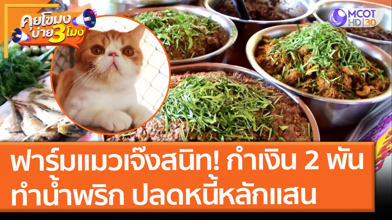 ฟาร์มเลี้ยงแมว เจ๊งสนิท! กำเงิน 2 พัน "ทำน้ำพริกขาย" ปลดหนี้หลักแสน (6 ก.ค. 64) คุยโขมงบ่าย 3 โมง