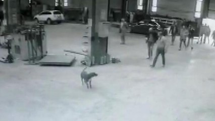 Şişli'de kasığından vurulan şahsın, uzun namlulu silahlarla 15 kişilik grup halinde mekan bastığı ortaya çıktı