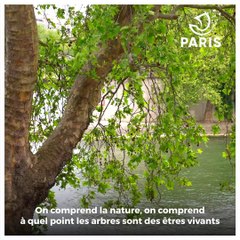 Dans les Coulisses de Paris : Béatrice, experte sylvicole à la Ville de Paris