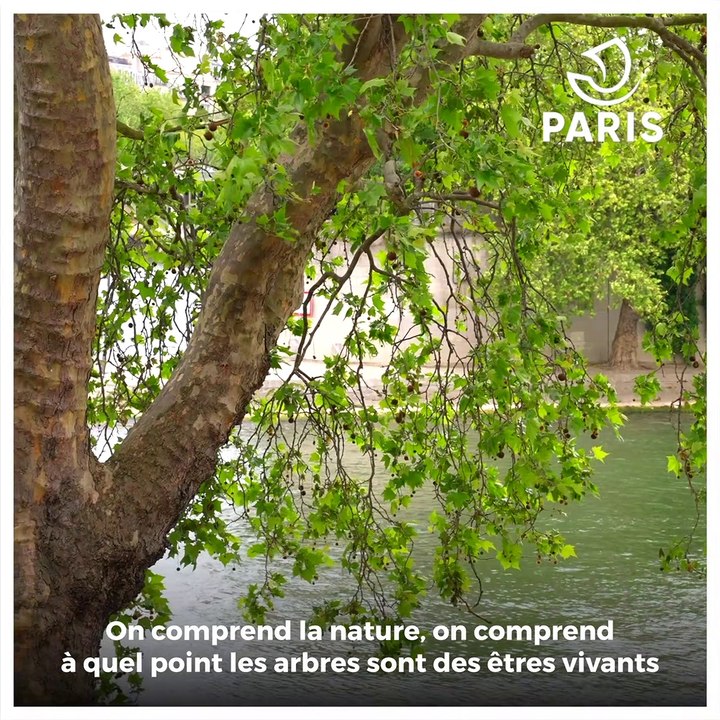 Dans les Coulisses de Paris : Béatrice, experte sylvicole à la Ville de Paris