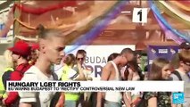 Hungary's anti-LGBT law comes into effect in face of EU criticism