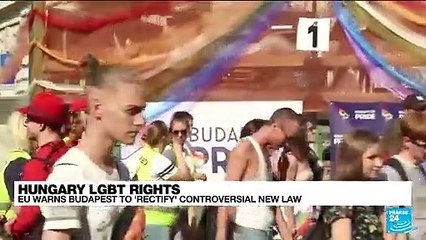Hungary's anti-LGBT law comes into effect in face of EU criticism