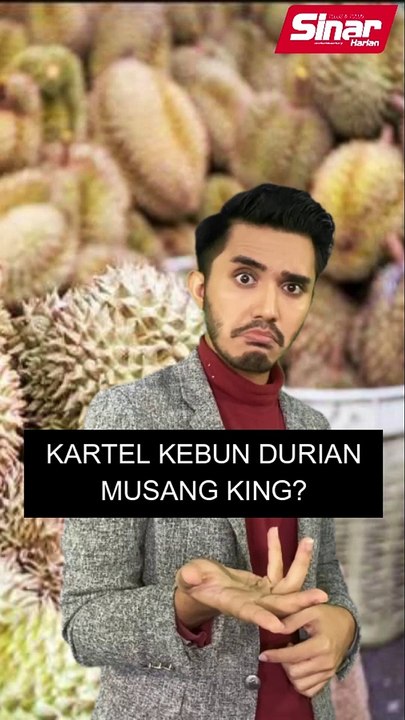 Kartel kebun durian musang king?