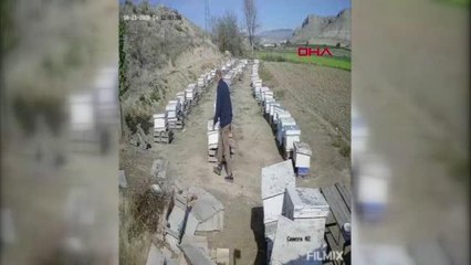 KIZINA BOŞANMA DAVASI AÇAN DAMADININ ARI KOVANLARINI PARÇALADI