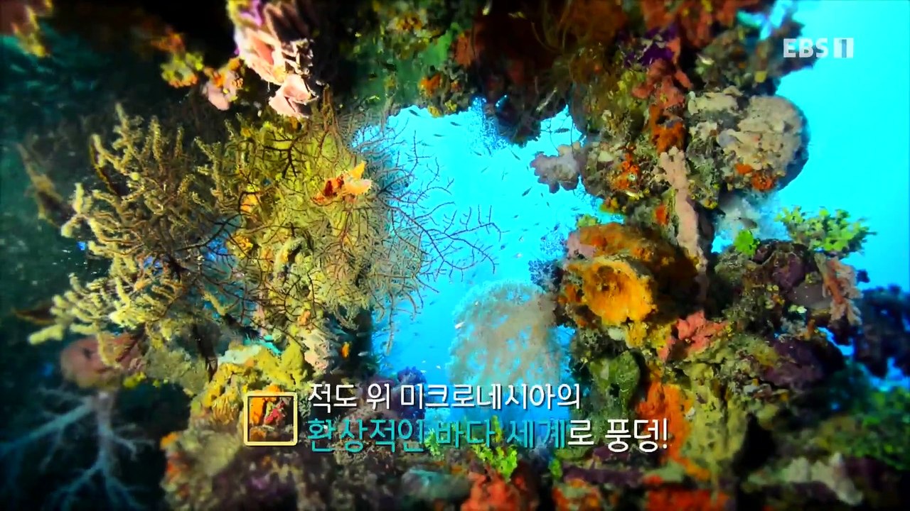 세계테마기행 - 여름날의 꿈- 아웃 오브 아프리카, 케냐_#001