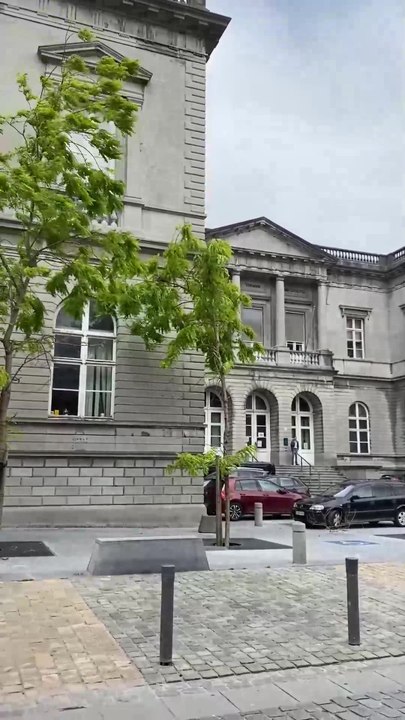 Les arbres arrachés par les vents forts devant le palais de justice de Mons