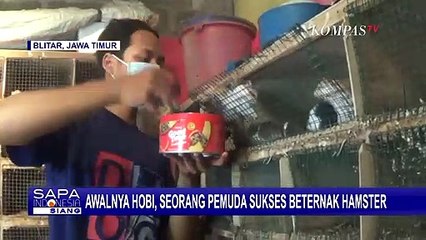 Dengan Modal 500 Ribu Rupiah, Pria Ini Sukses jadi Peternak Hamster di Kota Blitar