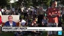 Hungary's new anti-LGBTQ law: 'It's a culture war'