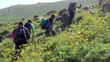 Yüksekovalı dağcılar 20 bin yıllık buzulları gezdi