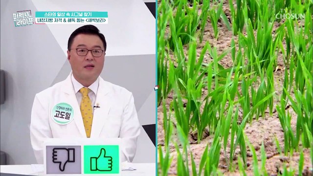 ❛이것❜으로 몸의 독소 빼고 내장지방 타파하자★ TV CHOSUN 20210707 방송