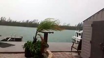 Floride: pluies diluviennes et vents violents à l'approche de la tempête Elsa
