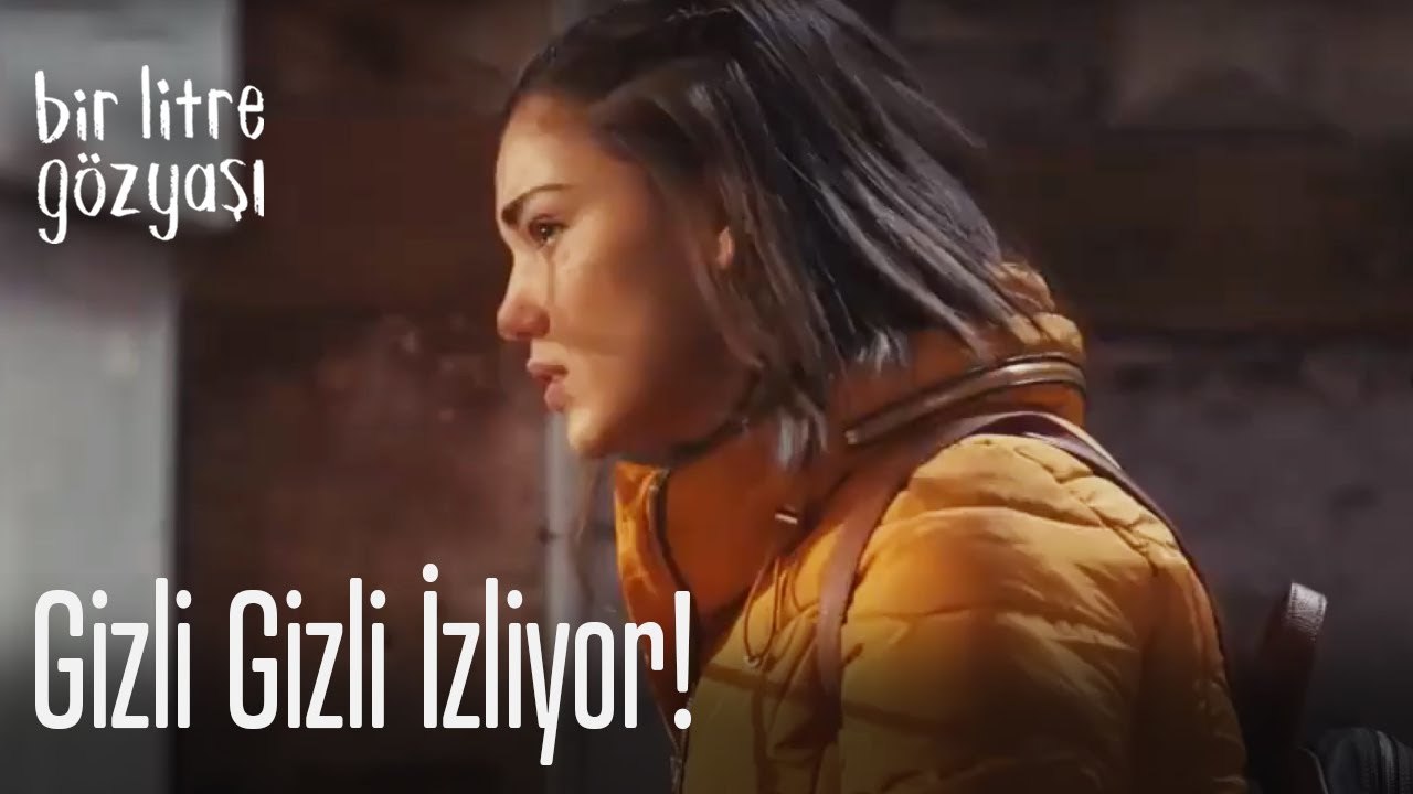 Gizli gizli izliyor!