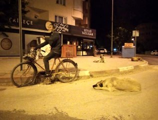 Hem hurda topluyor, hem sokak hayvanlarına babalık yapıyor
