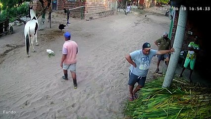 Startled Horse Kicks Man in the Side