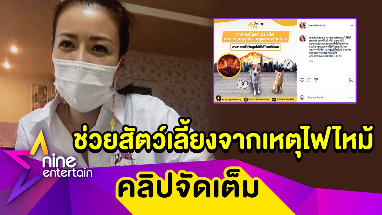“เก๋” ช่วยอพยพหมา-แมว กว่า 50 เคส จากเหตุไฟไหม้...