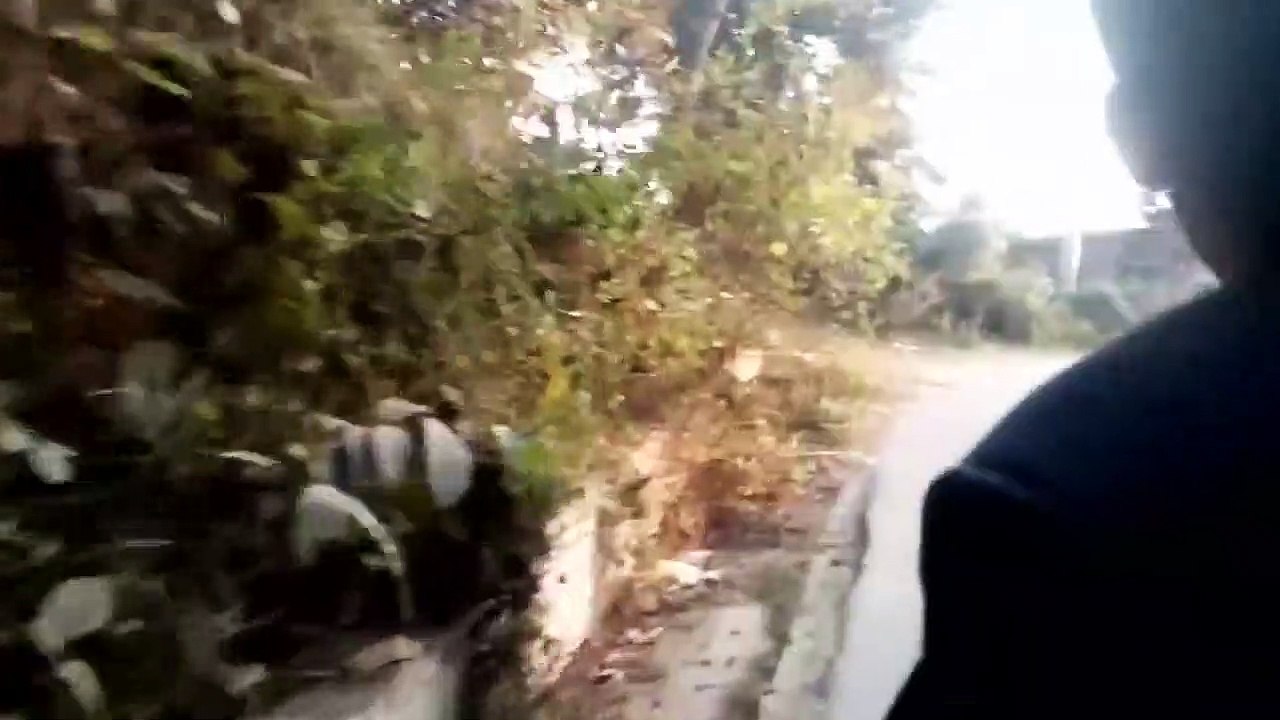 নীলাচলের দৃশ্য-৪