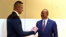 VILNIUS - Bakan Çavuşoğlu, Macaristan Dışişleri Bakanı Szijjarto ile görüştü