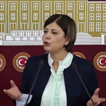 HDP'li Beştaş: AKP, MHP, CHP ve İyi Parti ABD'yi ziyaret etti, HDP sorulunca “Gelmek istemedi” denildi; ayıptır
