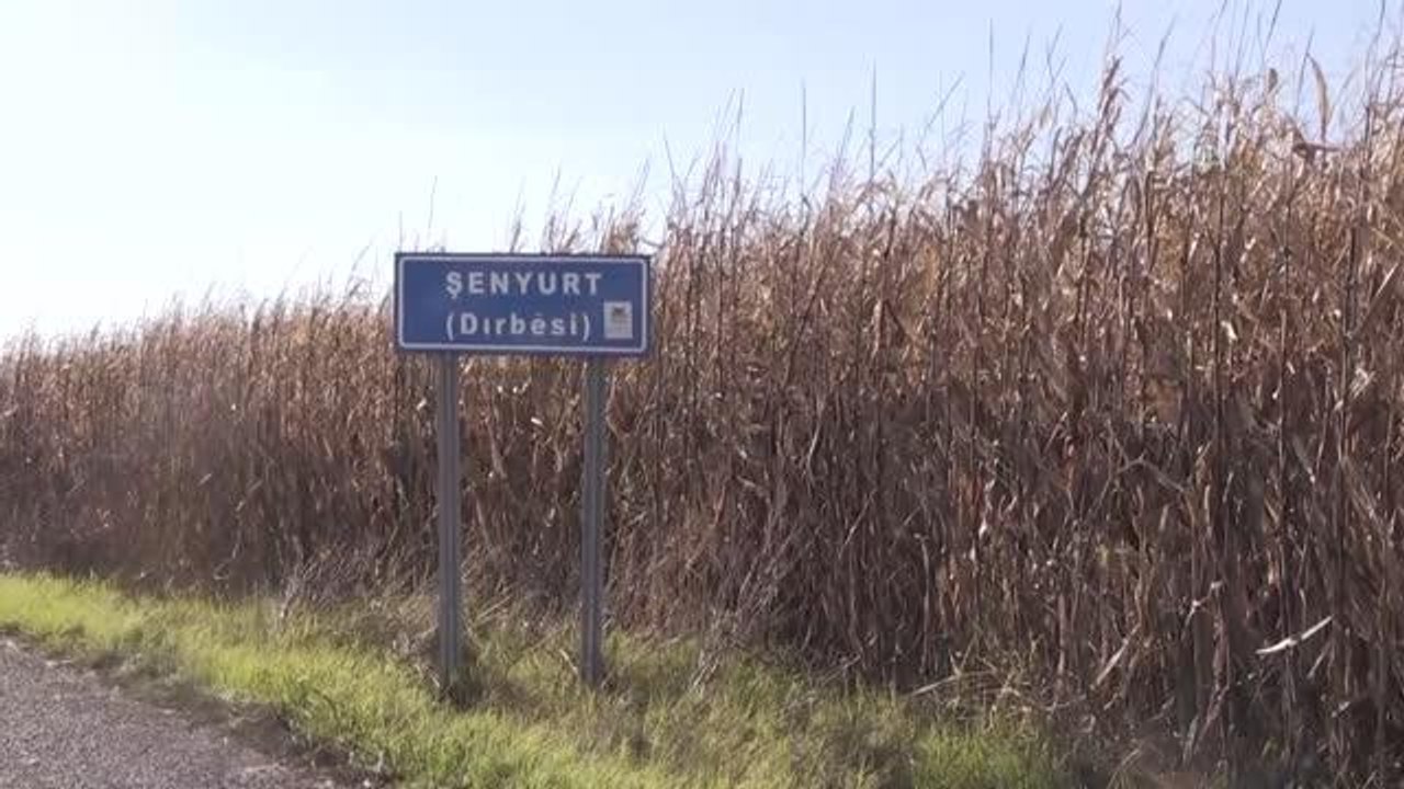 Son dakika haberleri: Suriye'den açılan ateş sonucu 1 asker şehit oldu, 3 asker yaralandı