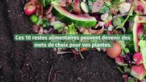 Les restes alimentaires à garder et qui seront bénéfiques pour vos plantes