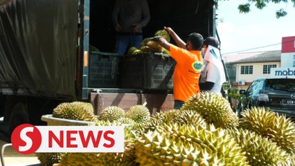 Deep concerns on ‘thorny’ issues raised in viral claims