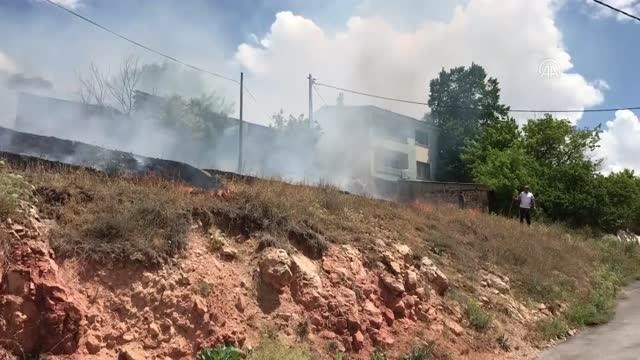 Çıkan örtü yangınında meyve ağaçları zarar gördü