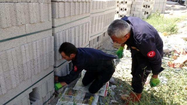 Briketler arasında mahsur kalan yavru köpek kurtarıldı