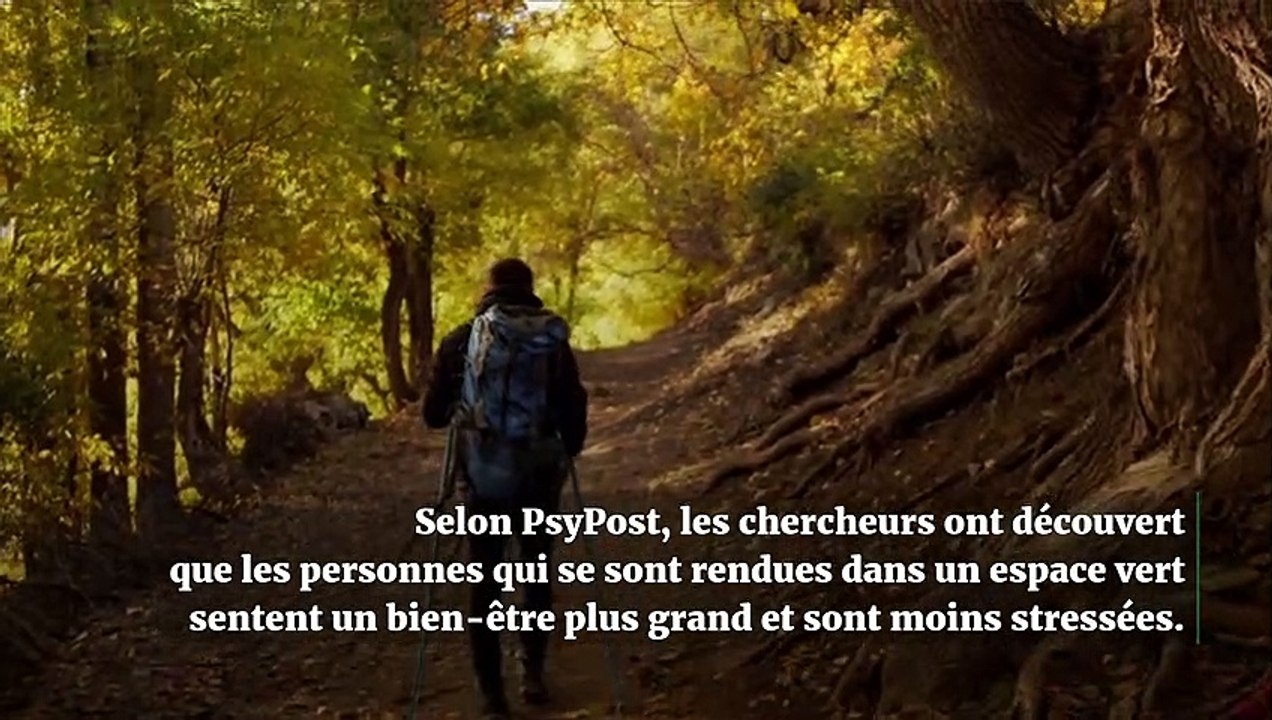 Pour améliorer votre santé mentale, allez dans la nature !