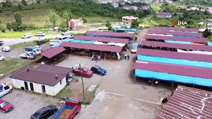 Ordu'da kurban pazarında haraketlilik arttı