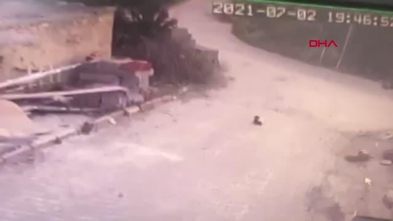 YAVRU KÖPEĞİ EZEN SÜRÜCÜ YOLUNA DEVAM ETTİ