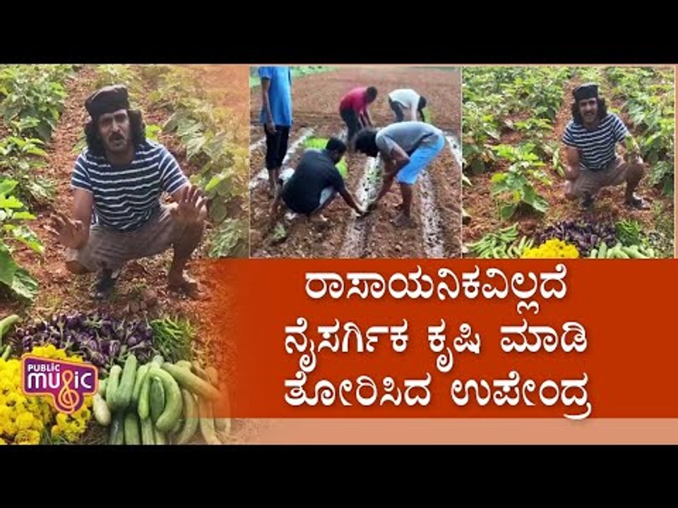 ಲಾಕ್‌ಡೌನ್ ನಡುವೆ ಸಾವಯವ ಕೃಷಿ ಮಾಡಿ ಸೈ ಎನಿಸಿಕೊಂಡ ರಿಯಲ್ ಸ್ಟಾರ್ | Real Star Upendra