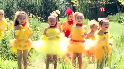 Picături Muzicale - Zece Bobocei