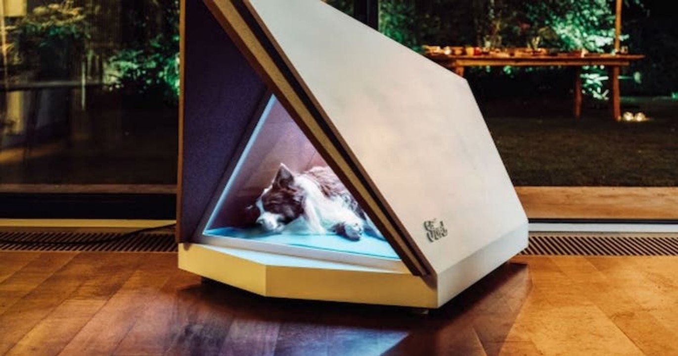 Le constructeur Ford a conçu une niche anti-bruit pour calmer les chiens effrayés par les feux d'artifice