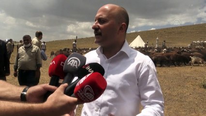 AĞRI - Ağrı Valisi Varol, devlet desteğiyle koyun sahibi olan çiftçileri yaylada ziyaret etti