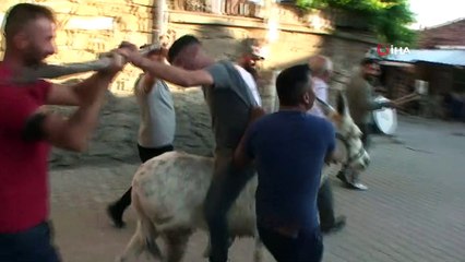 Düğüne geç gelen müzisyene eşek şakası