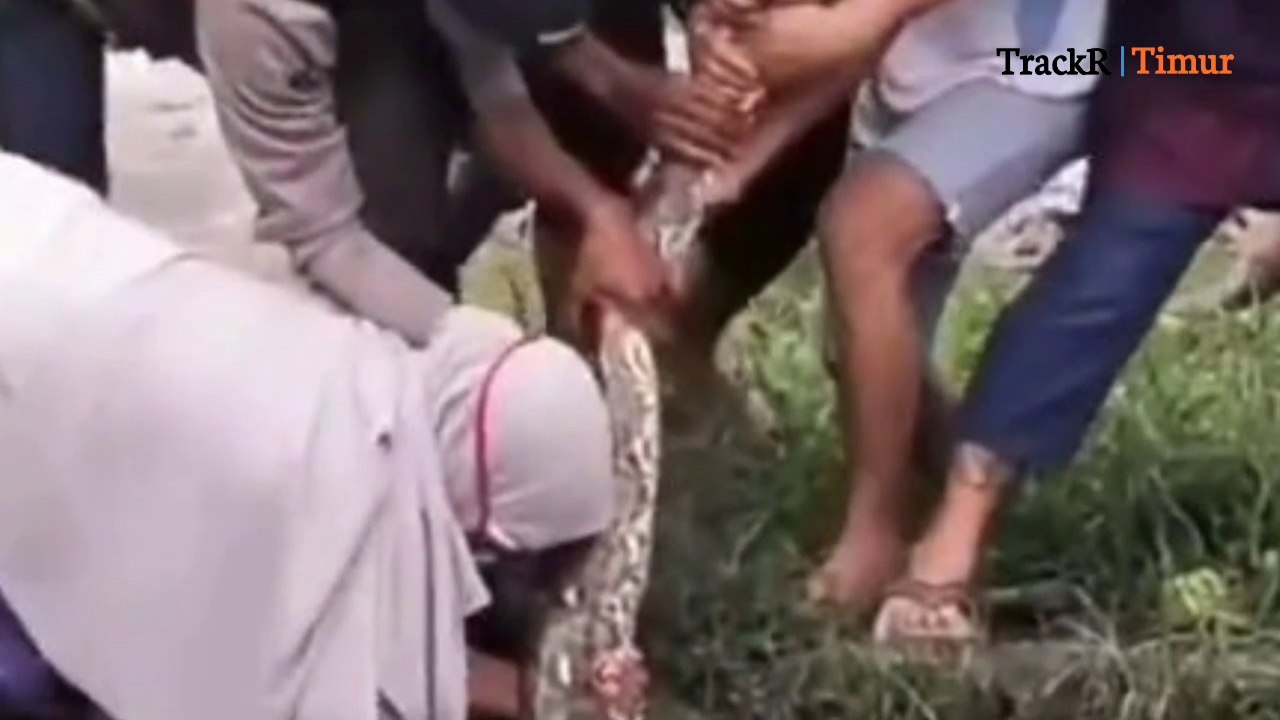 Ketangguhan Emak-Emak Teruji saat Tangkap Ular