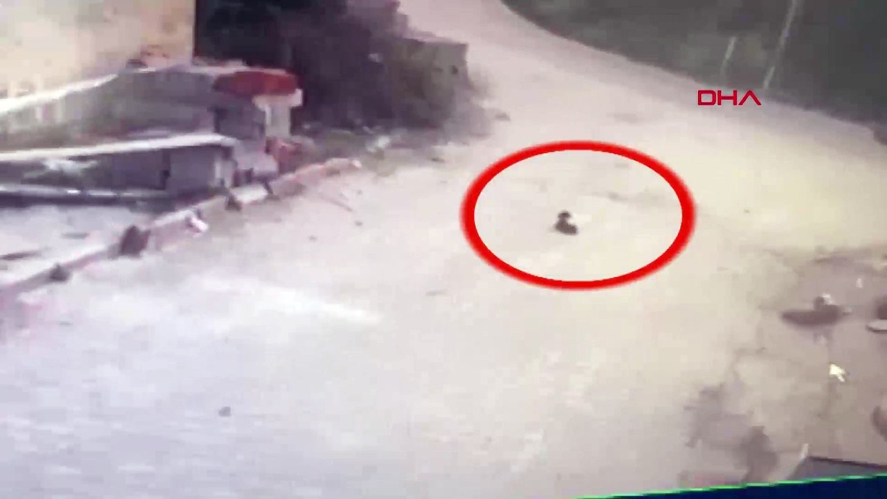 Yavru köpeği ezen sürücü yoluna devam etti