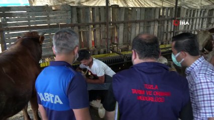 - Tuzla’da kurbanlık satış ve kesim noktalarına sıkı denetim