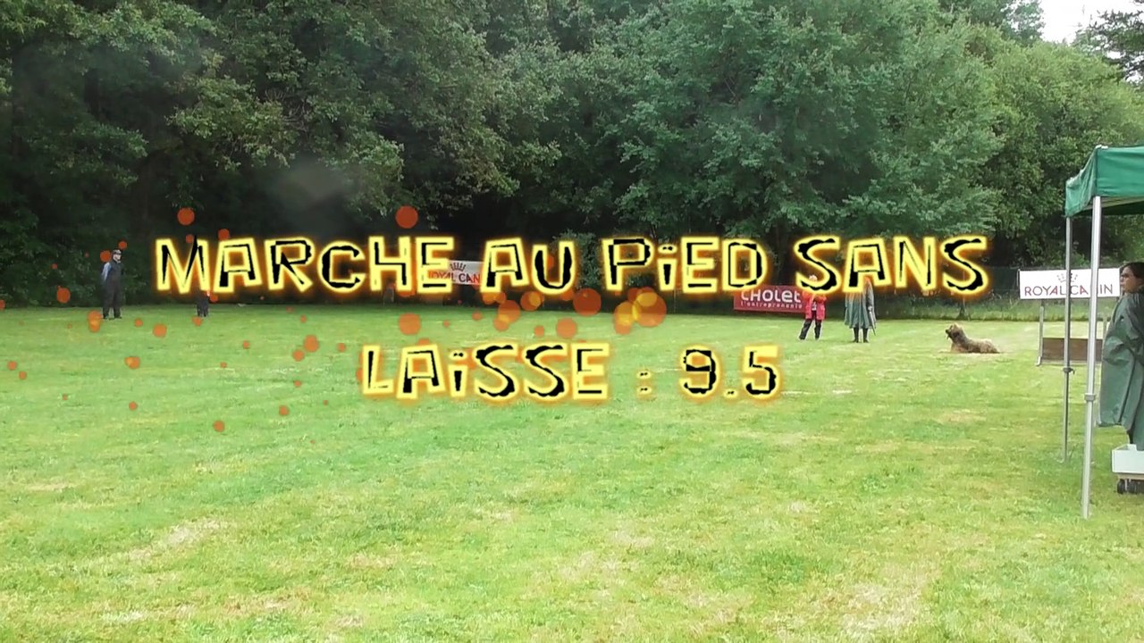 brevet orusfinal.film